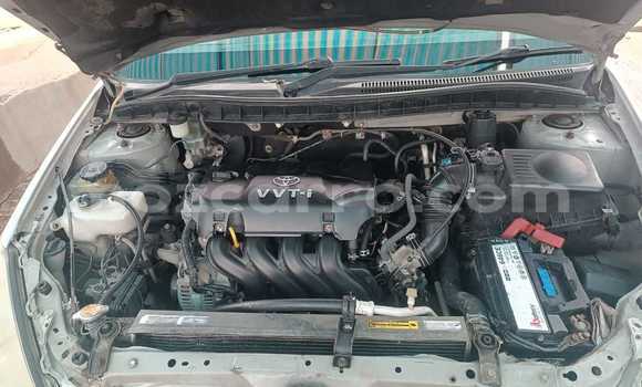 Nunua Ilio tumika Toyota Auris Nyingine Gari ndani ya Maputo nchini Maputo Nunua Ilio tumika Toyota Auris Nyingine Gari ndani ya Maputo nchini Maputo