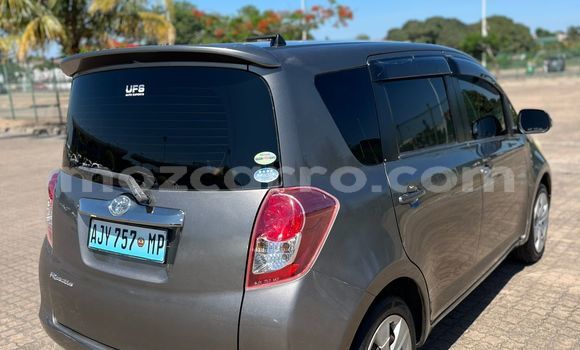 Buy New Toyota Ractis Brown Car in Maputo in Maputo Buy New Toyota Ractis Brown Car in Maputo in Maputo