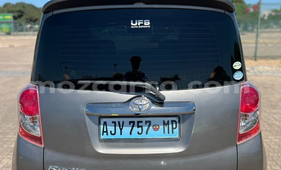 Buy New Toyota Ractis Brown Car in Maputo in Maputo Buy New Toyota Ractis Brown Car in Maputo in Maputo
