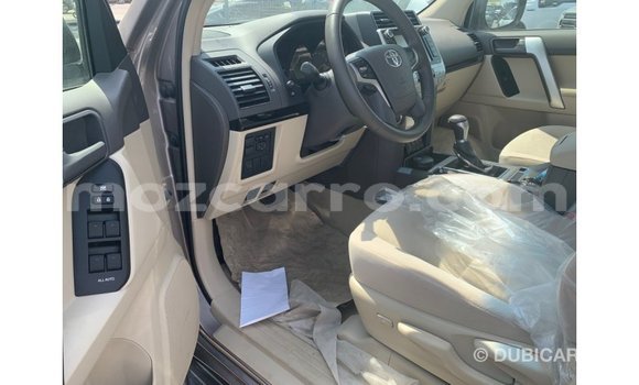 Buy Import Toyota Prado Brown Car in Import - Dubai in Cabo Delgado Buy Import Toyota Prado Brown Car in Import - Dubai in Cabo Delgado