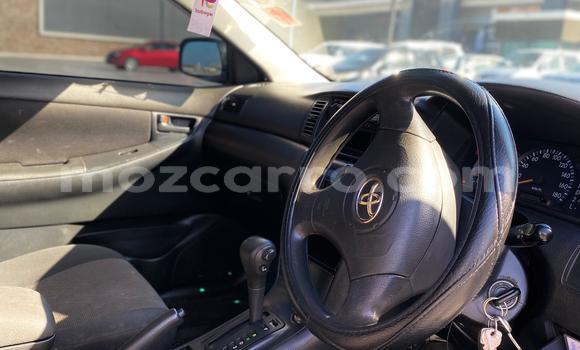 Tenga Tsaru Toyota Runx Sirivha Mota in Maputo in Maputo Tenga Tsaru Toyota Runx Sirivha Mota in Maputo in Maputo