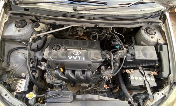 Tenga Tsaru Toyota Runx Sirivha Mota in Maputo in Maputo Tenga Tsaru Toyota Runx Sirivha Mota in Maputo in Maputo