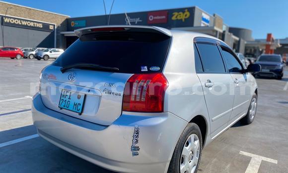 Tenga Tsaru Toyota Runx Sirivha Mota in Maputo in Maputo Tenga Tsaru Toyota Runx Sirivha Mota in Maputo in Maputo