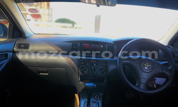 Tenga Tsaru Toyota Runx Sirivha Mota in Maputo in Maputo Tenga Tsaru Toyota Runx Sirivha Mota in Maputo in Maputo