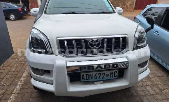 Comprar Usado Toyota Prado Branco Carro em Maputo em Maputo