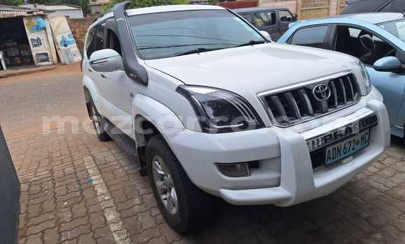 Comprar Usado Toyota Prado Branco Carro em Maputo em Maputo Comprar Usado Toyota Prado Branco Carro em Maputo em Maputo