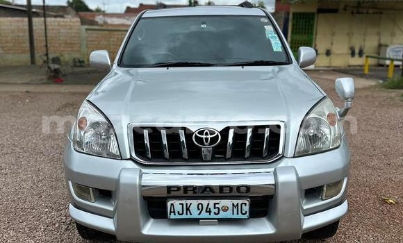Tenga Tsaru Toyota Land Cruiser Prado Zvimwe Mota in Maputo in Maputo Tenga Tsaru Toyota Land Cruiser Prado Zvimwe Mota in Maputo in Maputo