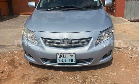 Buy Used Toyota Corolla Blue Car in Maputo in Maputo Buy Used Toyota Corolla Blue Car in Maputo in Maputo
