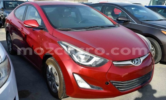 Comprar Importar Hyundai Elantra Vermelho Carro em Import - Dubai em Cabo Delgado Comprar Importar Hyundai Elantra Vermelho Carro em Import - Dubai em Cabo Delgado