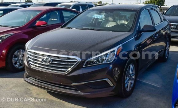 Comprar Importar Hyundai Sonata Castanho Carro em Import - Dubai em Cabo Delgado Comprar Importar Hyundai Sonata Castanho Carro em Import - Dubai em Cabo Delgado