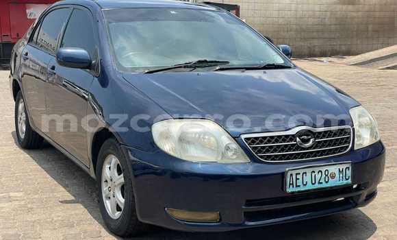 Buy Used Toyota Corolla Blue Car in Maputo in Maputo