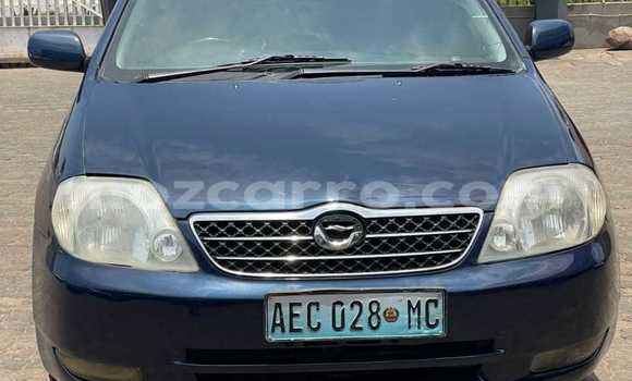 Nunua Ilio tumika Toyota Corolla Bluu Gari ndani ya Maputo nchini Maputo Nunua Ilio tumika Toyota Corolla Bluu Gari ndani ya Maputo nchini Maputo