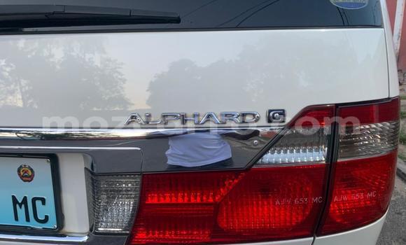 Tenga Tsaru Toyota Alphard Chena Mota in Maputo in Maputo Tenga Tsaru Toyota Alphard Chena Mota in Maputo in Maputo