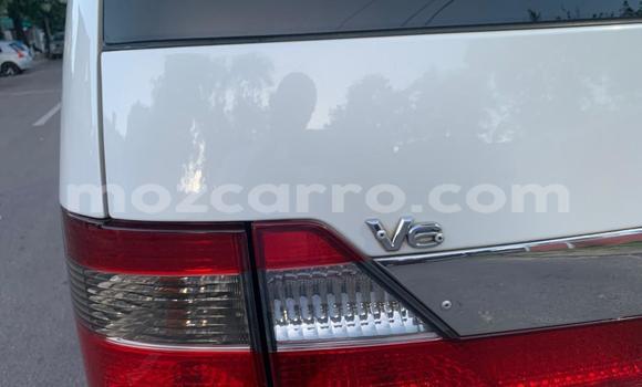 Tenga Tsaru Toyota Alphard Chena Mota in Maputo in Maputo Tenga Tsaru Toyota Alphard Chena Mota in Maputo in Maputo