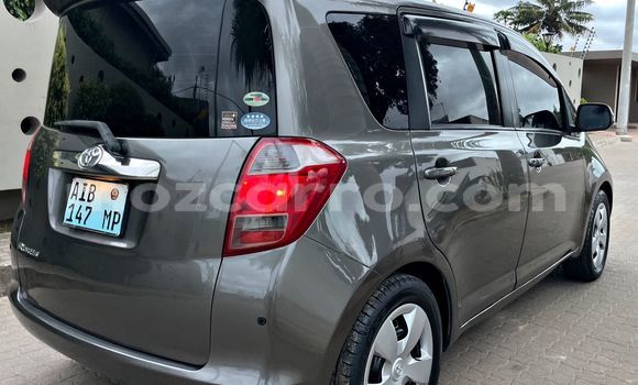 Tenga Tsaru Toyota Ractis Bhurawuni Mota in Maputo in Maputo Tenga Tsaru Toyota Ractis Bhurawuni Mota in Maputo in Maputo
