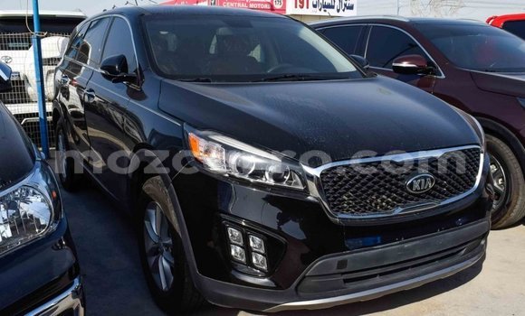 Buy Import Kia Sorento Black Car in Import - Dubai in Cabo Delgado Buy Import Kia Sorento Black Car in Import - Dubai in Cabo Delgado