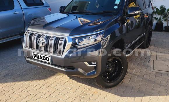 Comprar Novo Toyota Land Cruiser Prado Preto Carro em Maputo em Maputo