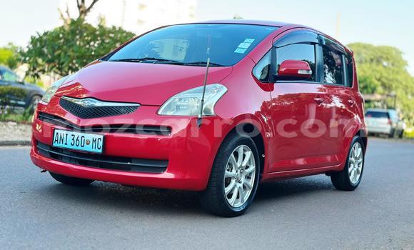 Buy New Toyota Ractis Red Car in Maputo in Maputo Buy New Toyota Ractis Red Car in Maputo in Maputo