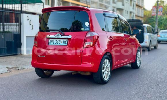Buy New Toyota Ractis Red Car in Maputo in Maputo Buy New Toyota Ractis Red Car in Maputo in Maputo