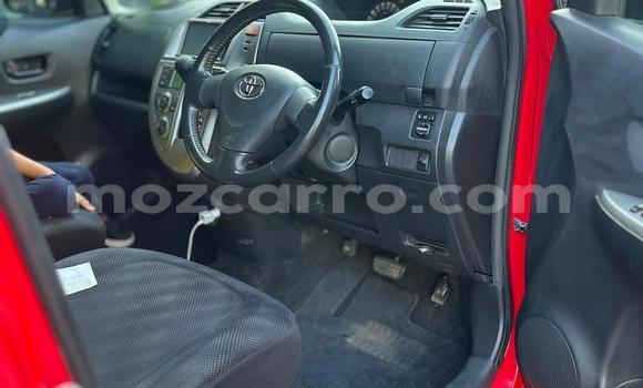 Buy New Toyota Ractis Red Car in Maputo in Maputo Buy New Toyota Ractis Red Car in Maputo in Maputo