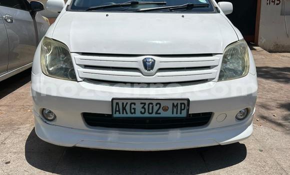 Buy Used Toyota IST White Car in Maputo in Maputo