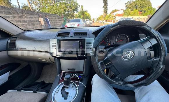 Comprar Usado Toyota Mark X Branco Carro em Maputo em Maputo Comprar Usado Toyota Mark X Branco Carro em Maputo em Maputo