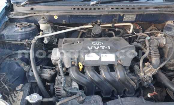 Nunua Ilio tumika Toyota Runx Bluu Gari ndani ya Maputo nchini Maputo Nunua Ilio tumika Toyota Runx Bluu Gari ndani ya Maputo nchini Maputo