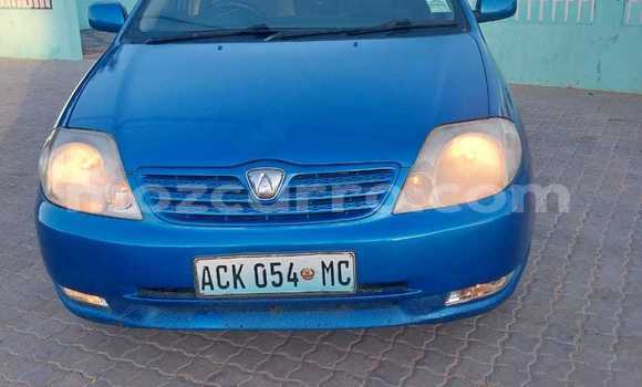 Nunua Ilio tumika Toyota Runx Bluu Gari ndani ya Maputo nchini Maputo Nunua Ilio tumika Toyota Runx Bluu Gari ndani ya Maputo nchini Maputo