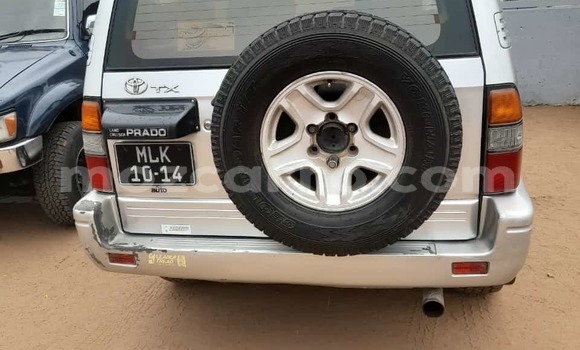 Tenga Tsaru Toyota Prado Sirivha Mota in Maputo in Maputo Tenga Tsaru Toyota Prado Sirivha Mota in Maputo in Maputo