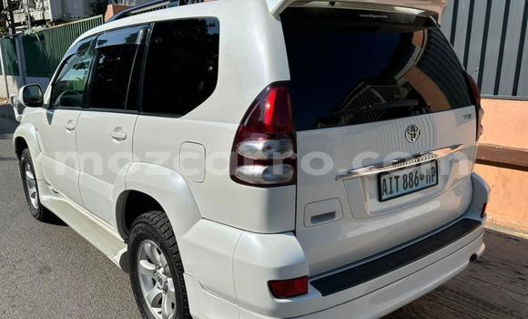Comprar Novo Toyota Land Cruiser Prado Branco Carro em Maputo em Maputo Comprar Novo Toyota Land Cruiser Prado Branco Carro em Maputo em Maputo