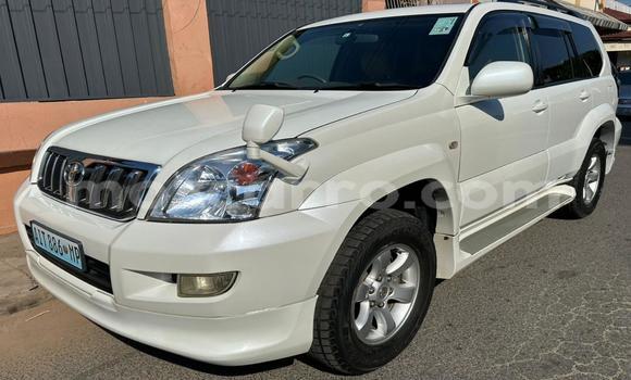 Comprar Novo Toyota Land Cruiser Prado Branco Carro em Maputo em Maputo Comprar Novo Toyota Land Cruiser Prado Branco Carro em Maputo em Maputo