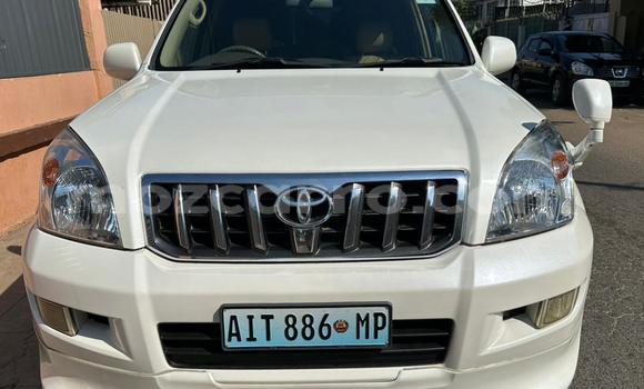 Comprar Novo Toyota Land Cruiser Prado Branco Carro em Maputo em Maputo Comprar Novo Toyota Land Cruiser Prado Branco Carro em Maputo em Maputo