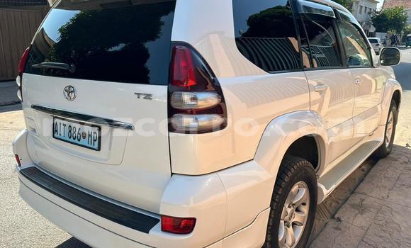 Comprar Novo Toyota Prado Branco Carro em Maputo em Maputo Comprar Novo Toyota Prado Branco Carro em Maputo em Maputo