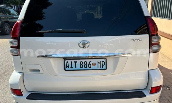 Comprar Novo Toyota Prado Branco Carro em Maputo em Maputo Comprar Novo Toyota Prado Branco Carro em Maputo em Maputo