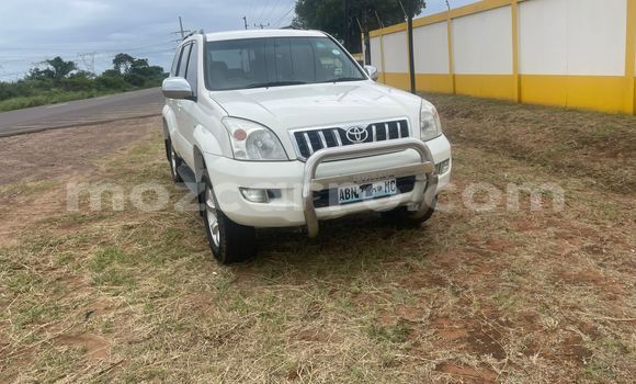 Buy Used Toyota Prado White Car in Maputo in Maputo
