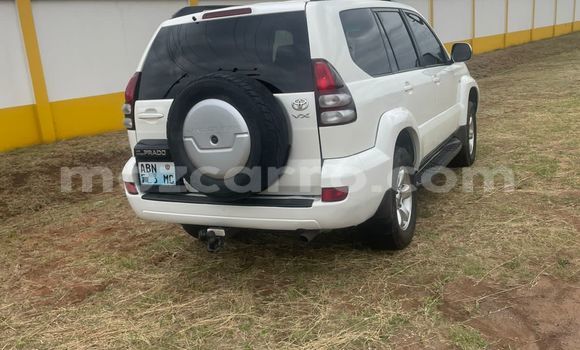 Tenga Tsaru Toyota Prado Chena Mota in Maputo in Maputo Tenga Tsaru Toyota Prado Chena Mota in Maputo in Maputo