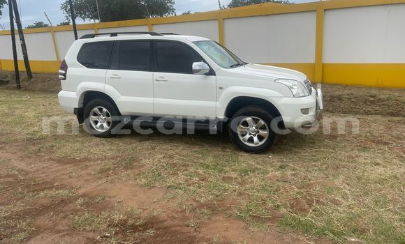 Tenga Tsaru Toyota Prado Chena Mota in Maputo in Maputo Tenga Tsaru Toyota Prado Chena Mota in Maputo in Maputo