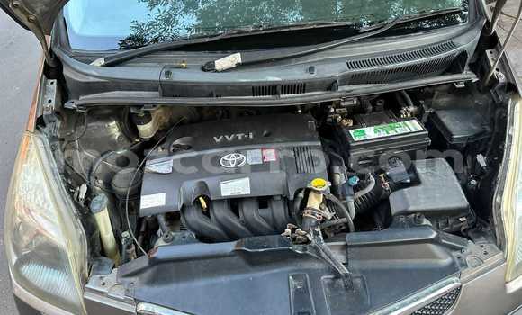 Nunua Ilio tumika Toyota Ractis Brown Gari ndani ya Maputo nchini Maputo Nunua Ilio tumika Toyota Ractis Brown Gari ndani ya Maputo nchini Maputo