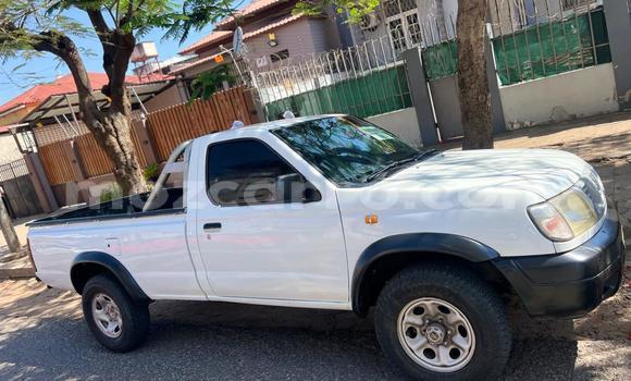Tenga Tsaru Nissan Hardbody Chena Mota in Maputo in Maputo