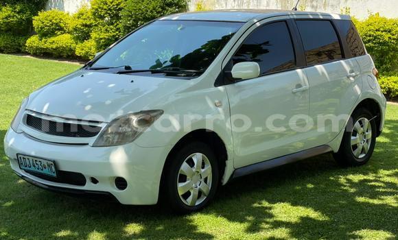 Tenga Tsaru Toyota IST Chena Mota in Maputo in Maputo Tenga Tsaru Toyota IST Chena Mota in Maputo in Maputo