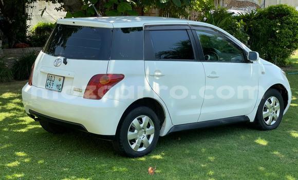 Tenga Tsaru Toyota IST Chena Mota in Maputo in Maputo Tenga Tsaru Toyota IST Chena Mota in Maputo in Maputo