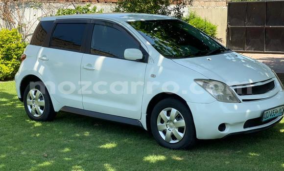 Tenga Tsaru Toyota IST Chena Mota in Maputo in Maputo Tenga Tsaru Toyota IST Chena Mota in Maputo in Maputo