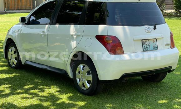 Tenga Tsaru Toyota IST Chena Mota in Maputo in Maputo Tenga Tsaru Toyota IST Chena Mota in Maputo in Maputo