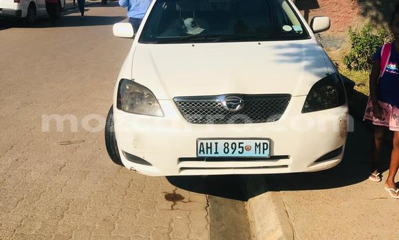 Comprar Usado Toyota Runx Branco Carro em Maputo em Maputo
