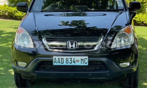 Nunua Ilio tumika Honda CR-V Nyeusi Gari ndani ya Maputo nchini Maputo Nunua Ilio tumika Honda CR-V Nyeusi Gari ndani ya Maputo nchini Maputo