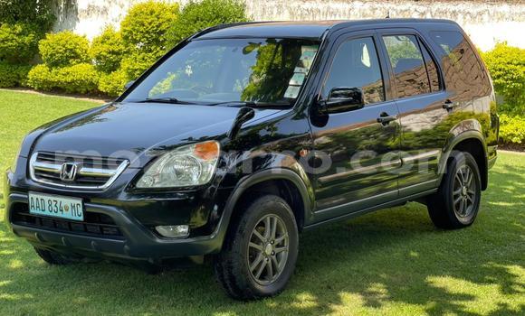 Nunua Ilio tumika Honda CR-V Nyeusi Gari ndani ya Maputo nchini Maputo Nunua Ilio tumika Honda CR-V Nyeusi Gari ndani ya Maputo nchini Maputo