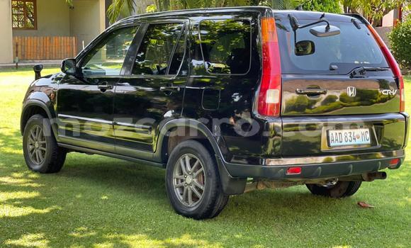 Nunua Ilio tumika Honda CR-V Nyeusi Gari ndani ya Maputo nchini Maputo Nunua Ilio tumika Honda CR-V Nyeusi Gari ndani ya Maputo nchini Maputo