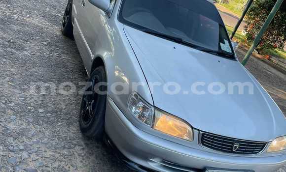 Comprar Usado Toyota Corolla Bege Carro em Maputo em Maputo Comprar Usado Toyota Corolla Bege Carro em Maputo em Maputo
