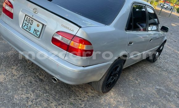 Comprar Usado Toyota Corolla Bege Carro em Maputo em Maputo Comprar Usado Toyota Corolla Bege Carro em Maputo em Maputo