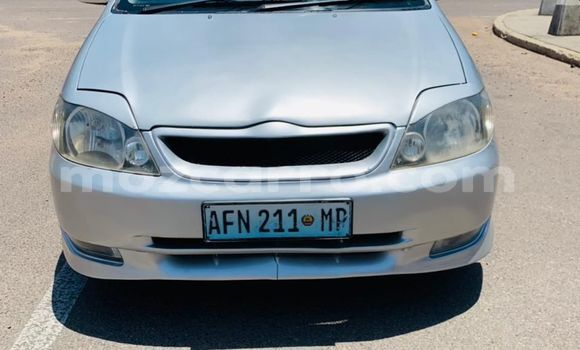 Comprar Usado Toyota Runx Prata Carro em Maputo em Maputo